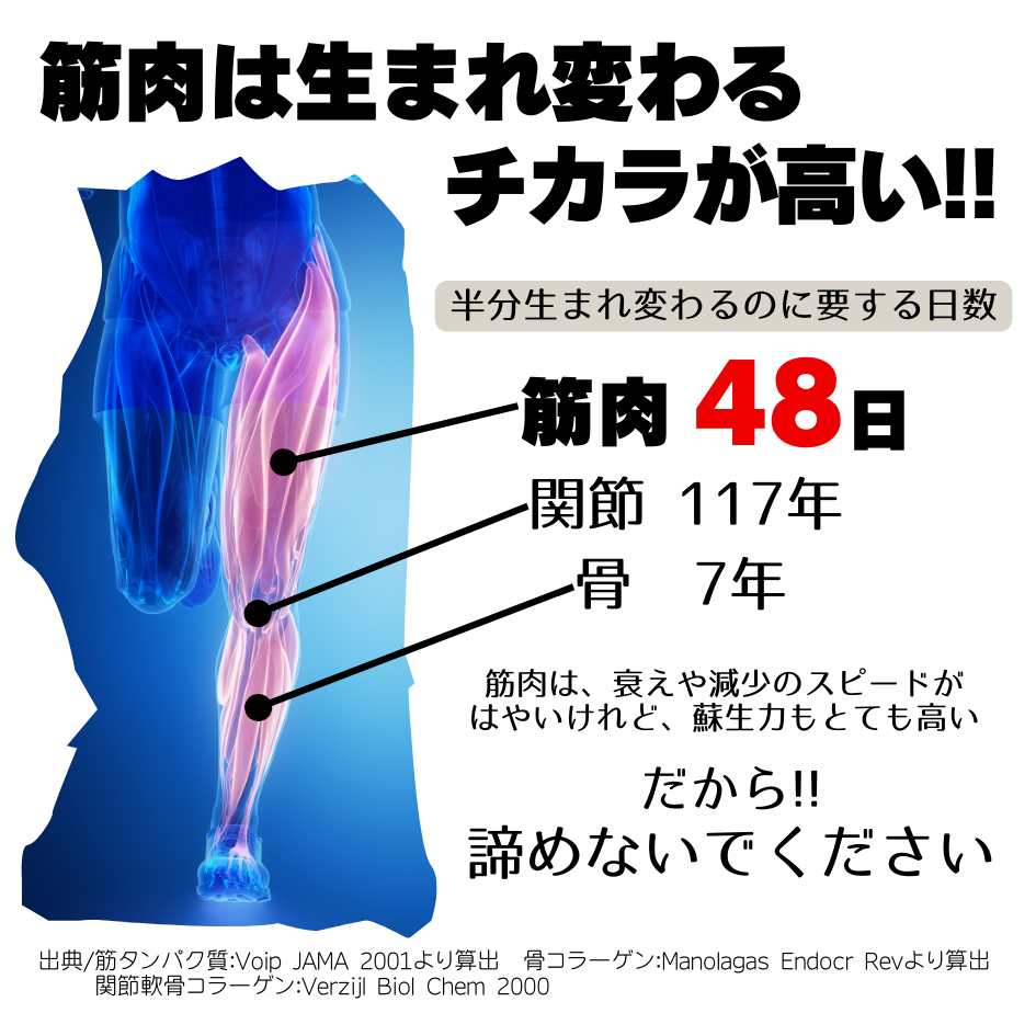 アミノ酸ゼリー